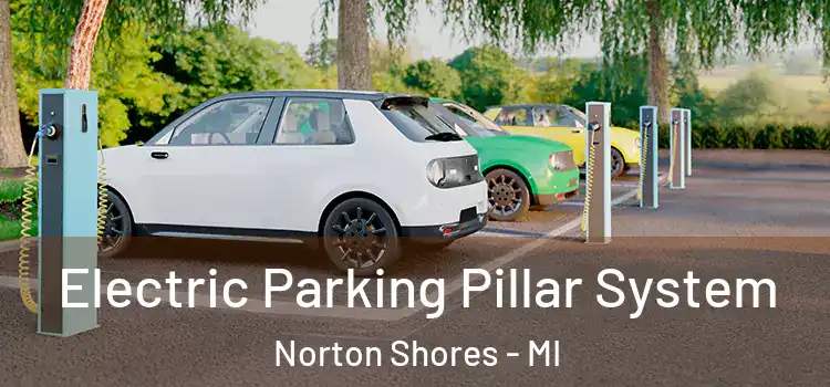  Electric Parking Pillar System Norton Shores - MI