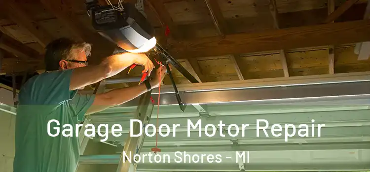  Garage Door Motor Repair Norton Shores - MI