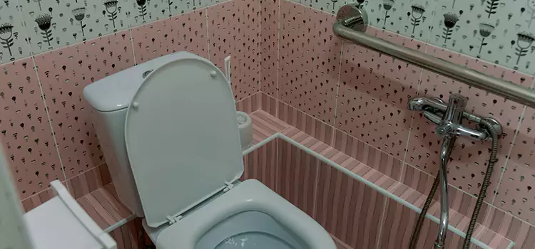 Meeting Diverse Needs With Accessible Restroom Solutions in Norton Shores, MI